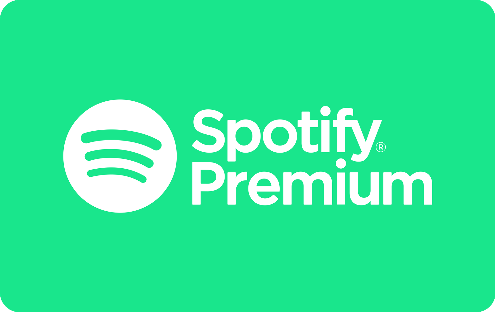 Spotify Gift Card Saudi Arabia - 12 Month SAR